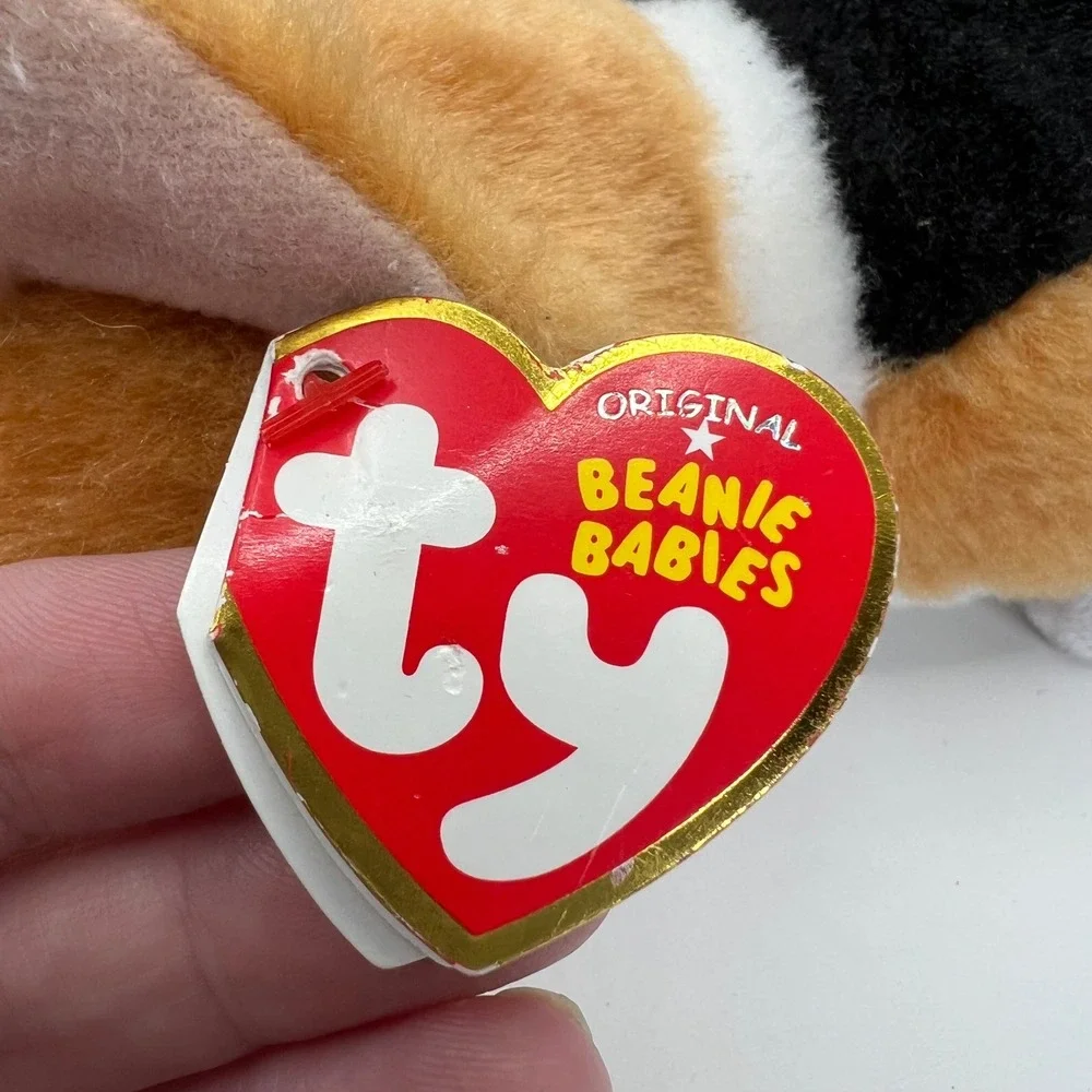 Ty Colin the Corgi 8